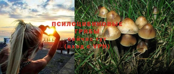 стаф Краснотурьинск