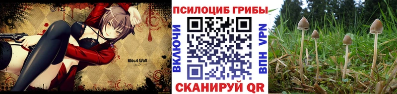 Псилоцибиновые грибы MAGIC MUSHROOMS  Купить где  Отрадная 